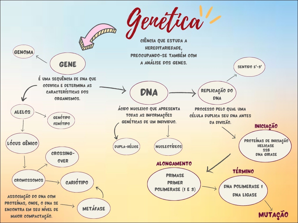Conceitos de Genética
